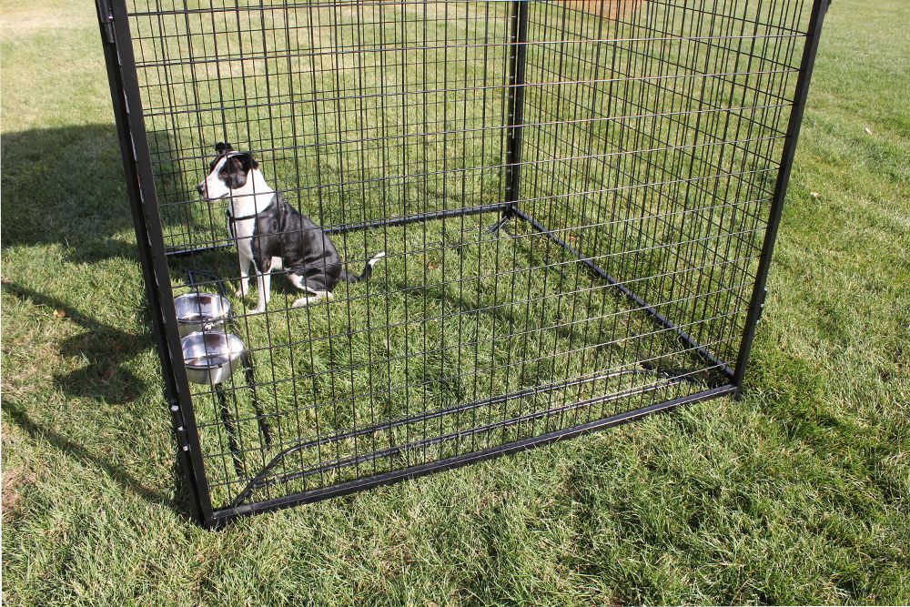 8' X 16' Complete 7' Tall Dog Kennel (Powder-Coated)