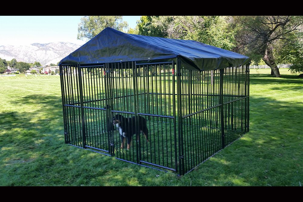 10' x 15' Complete European Style Dog Kennel